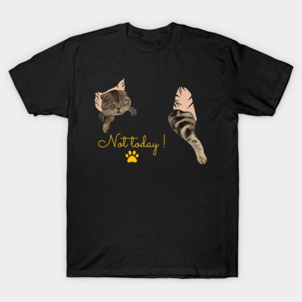 Not today - Sleeping Cat T-Shirt Unisex