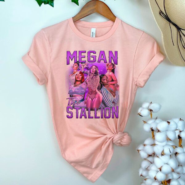 Megan Thee Stallion Basic T- shirt