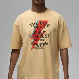 The rise and fall of ziggy stardust and the spiders from mars lightning bolt distressed Shirt