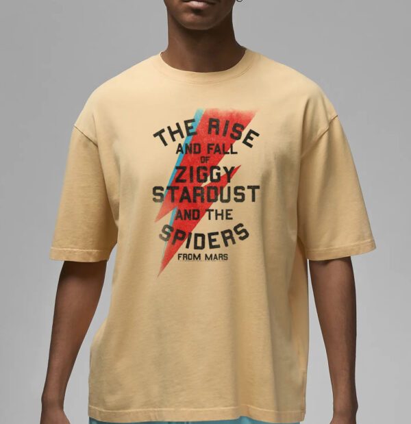 The rise and fall of ziggy stardust and the spiders from mars lightning bolt distressed Shirt