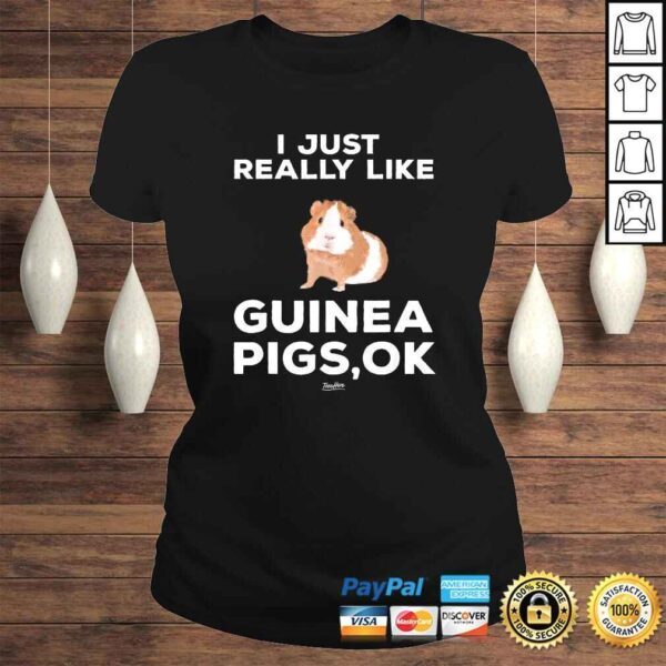 I Just Really Like Guinea Pigs Ok Funny Guinea Mom Themed TShirt Gift - Image 3