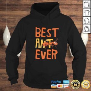 Hoodie Best Ant Ever BAE Aunt Funny Shirtfor Nephew Niece