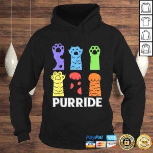 Hoodie Cute Cat Gay Pride Month Rainbow Flag LGBTShirt Gift