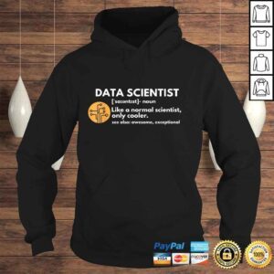 Hoodie Data Scientist Definition Computer Science Tee TShirt