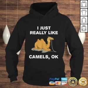 Hoodie I Just Really Like Camels OK Funny Camel VNeck TShirt