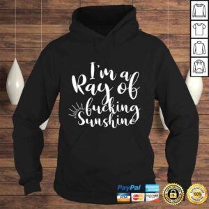 Hoodie Im a ray of Fucking Sunshine Funny AdulTShirt