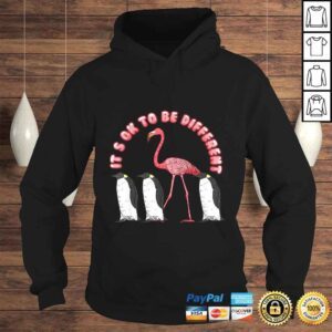 Hoodie Its Ok To Be Different Funny Sayings Flamingo Penguin Tshirt