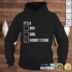 Hoodie Official Kidney Stone Funny Checklist Gift Top