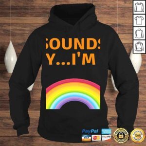 Hoodie Sounds Gay Im In LGBT Queer VNeck TShirt