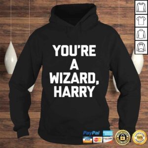 Hoodie Youre A Wizard Harry Shirt funny saying sarcastic novelty