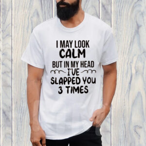 I May Look Calm But In My Head I’ve Slapped You 3 Times TShirt