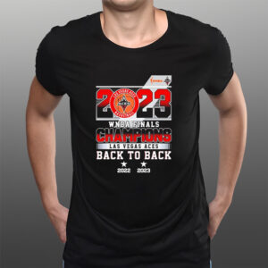 WNBA Finals Champions 2023 Las Vegas Aces Back to Back 2022-2023 T-Shirts