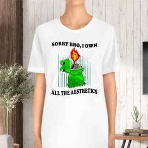 Sorry Bro I Own All The Aesthetics T-Shirt