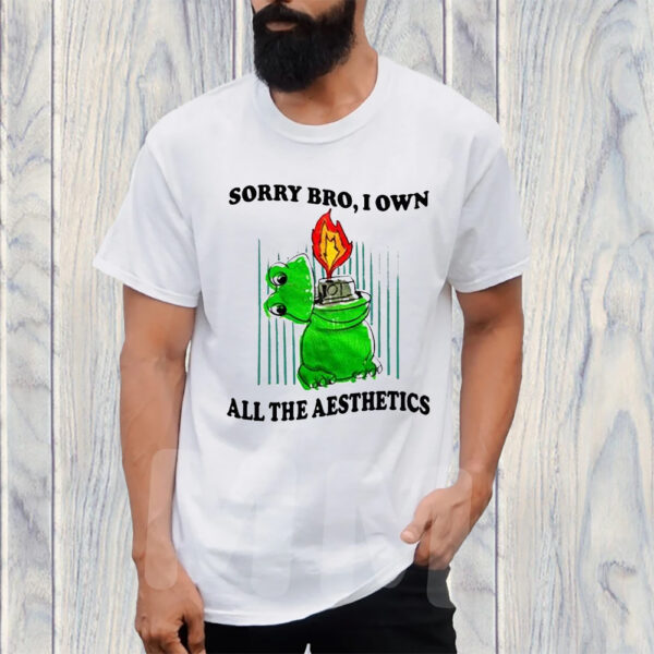 Sorry Bro I Own All The Aesthetics TShirt