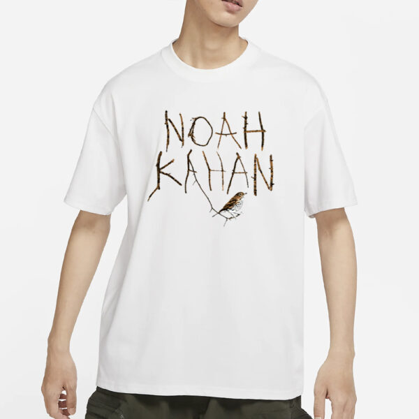 Stereospectral Prints Noah Kahan Stick Season Bird T-Shirts