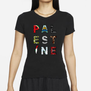 Fahad Ali Windows To Palestine T-Shirt