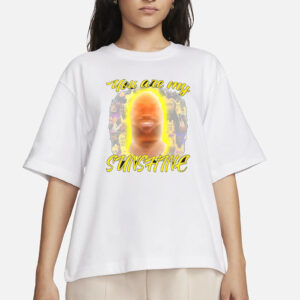 Funny Ahh Tees You Are My Sunshine Lebron T-Shirt