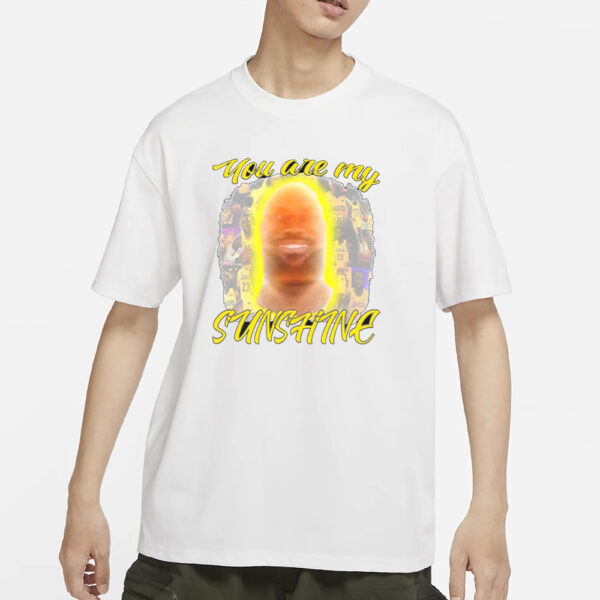 Funny Ahh Tees You Are My Sunshine Lebron T-Shirt