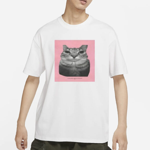 Tyler Cat All Songs Written Produced And Arranged By Cat T-Shirt