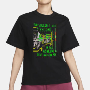 You Wouldn't Last A Second In The Asylum They Raised Me T-Shirt1