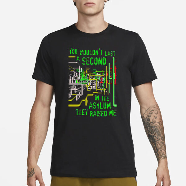 You Wouldn't Last A Second In The Asylum They Raised Me T-Shirt3