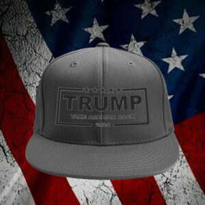 Trump Take America Back 2024 Hat